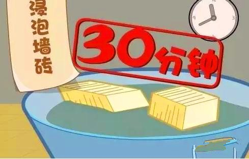 叼嘿视频大全