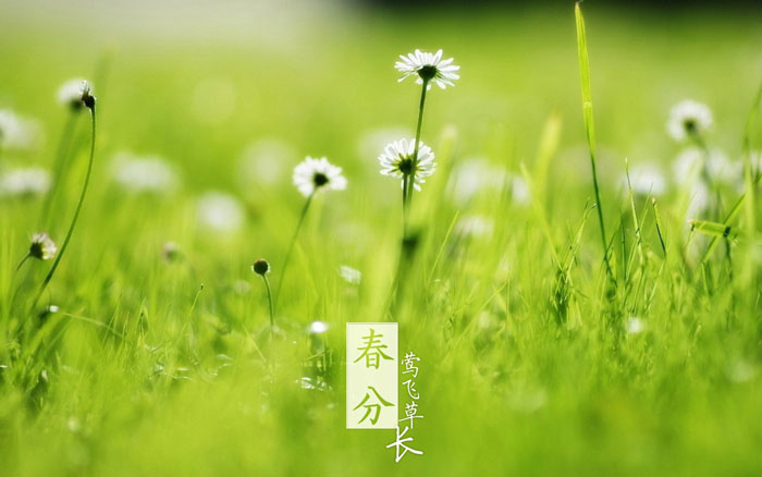即便是春風十裏，依然不如你