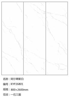 叼嘿软件大全 KYP26801定製